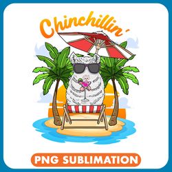 chinchillas beach chinchillin cute chinchilla summer tropical ocean png