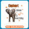 Elephants Lover kisses fix everything .jpg