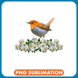 european robin and field roses ornithology bird png