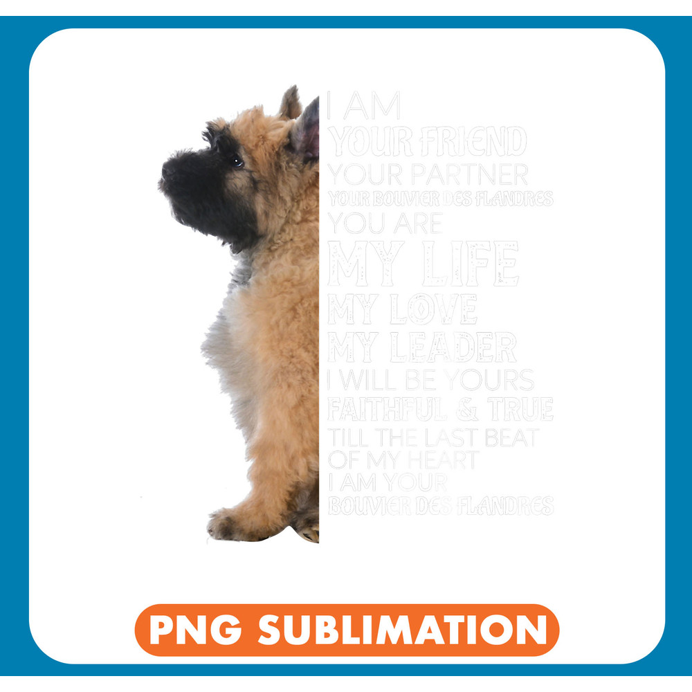 I Am Your Friend Your Partner Your Bouvier Des Flandres Dog .jpg