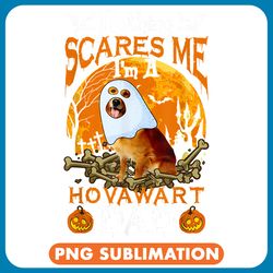 nothing scares me i'm a hovawart dad t-shirt24 png