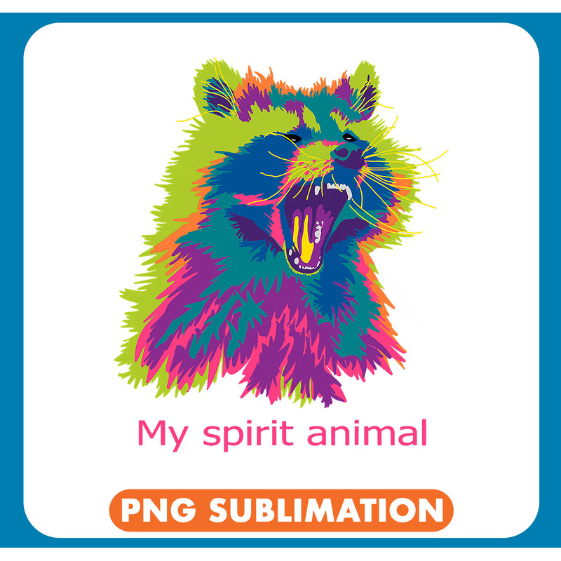 Raccoons Spirit Animal22 .jpg