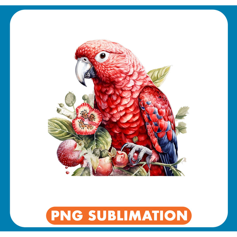 Scarlet Macaw Strawberry Fruit Strawberry Parrots Tropical .jpg