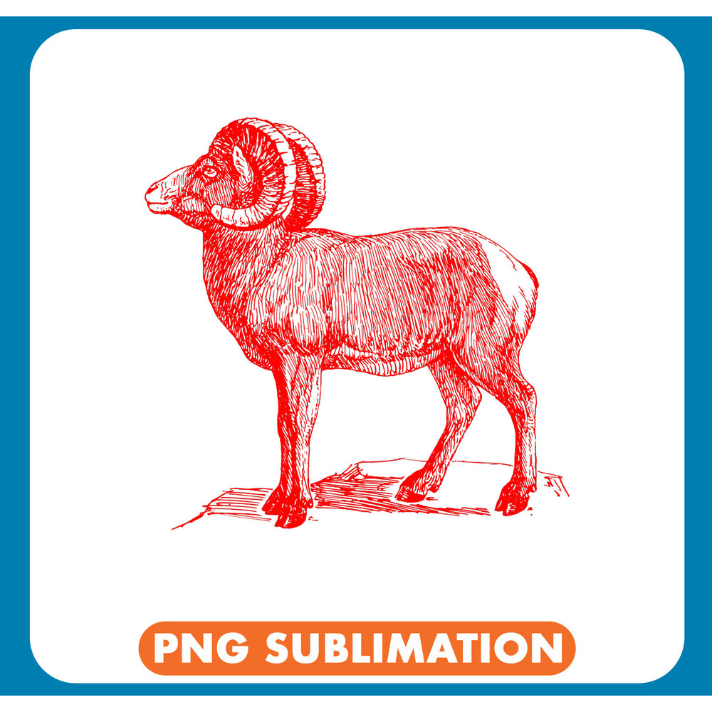 Sheep Lover Bighorn Sheep 21 .jpg