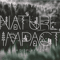 Nature-Impact-Fonts-62715870-7-580x387.png