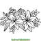 Lily-Svg,-Lily-Flower-Svg,-Flower-Svg.-Digital-Download-Files-SVG200624CF3415.png