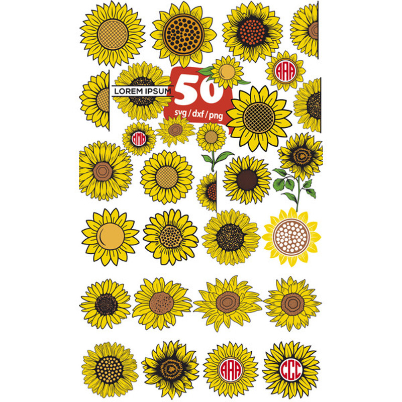 téléchargement (1).jpg