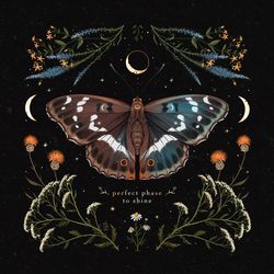 butterfly illustration for waking up to the dark book cover