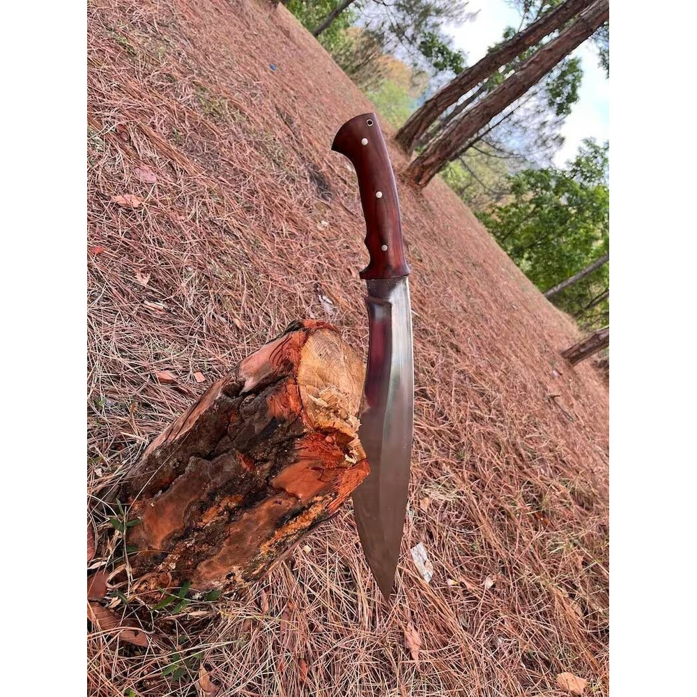 WhatsApp Image 2024-04-24 at 9.22.40 PM (1).jpeg