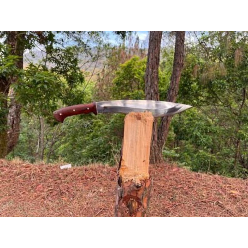 WhatsApp Image 2024-04-24 at 9.22.40 PM.jpeg