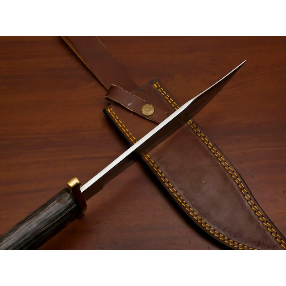 WhatsApp Image 2024-04-24 at 9.05.09 PM.jpeg