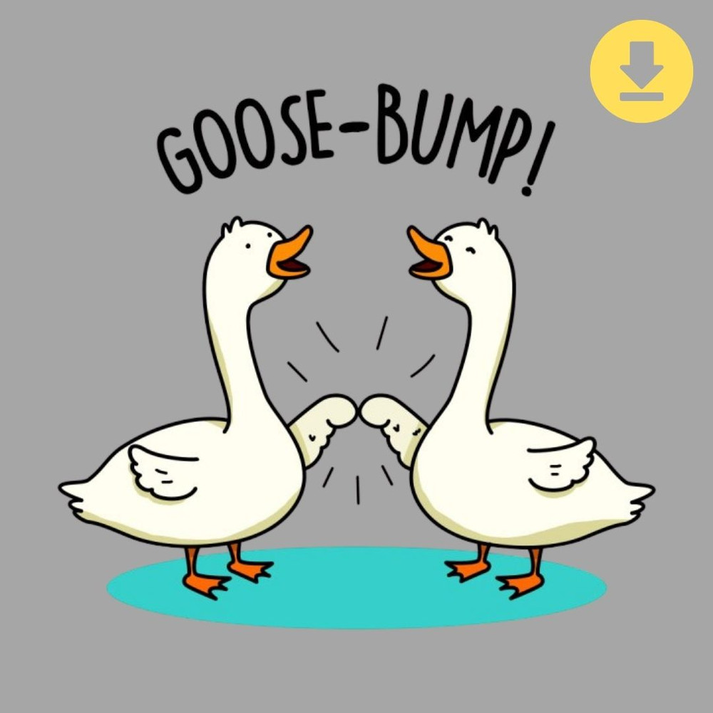 Untitled design (1).jpg