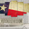 Usa Texas State Flag Abstract.jpg