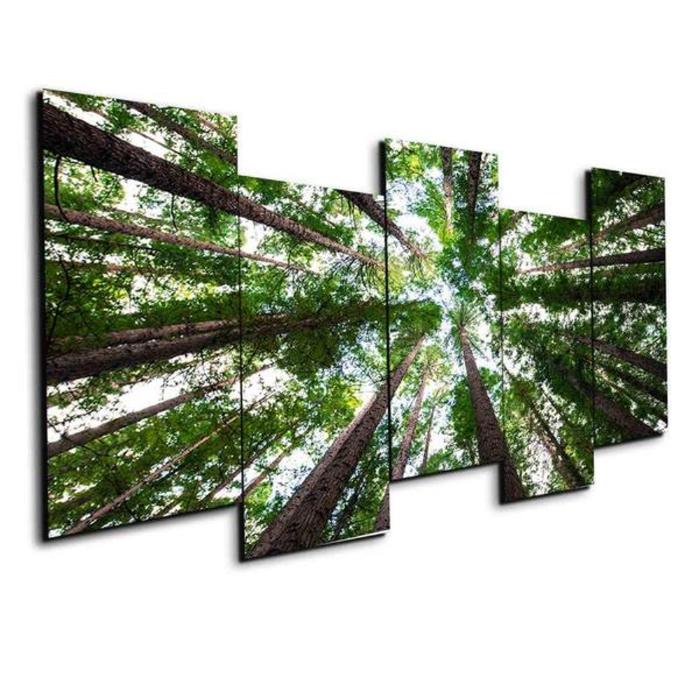 Tree Forest Nature.jpg