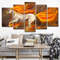 Fire Horse Animals Abstract Animal Art.jpg
