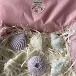 Eco Shells Soaps In A Box -Handmade