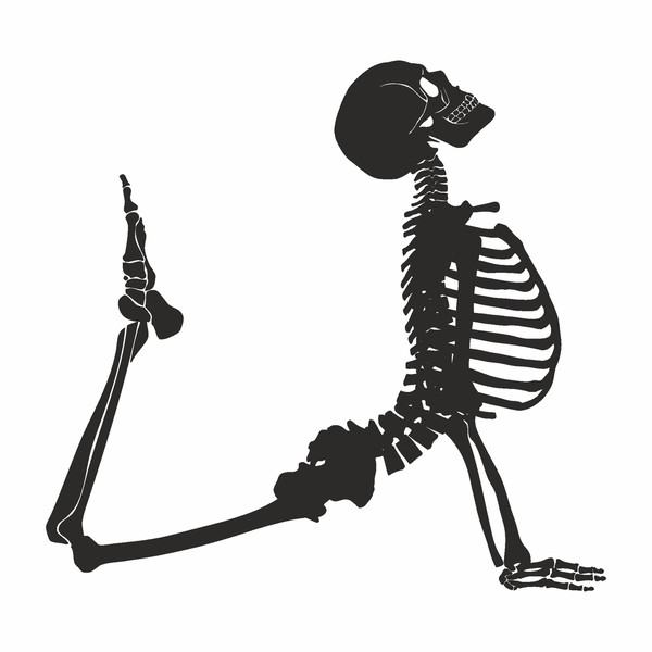 skeleton svg3.jpg