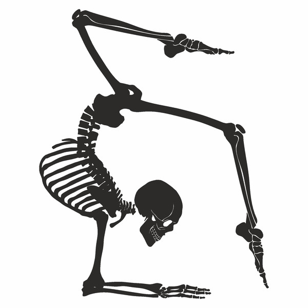 skeleton svg4.jpg