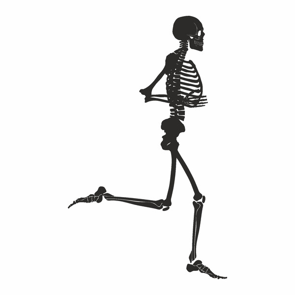 skeleton svg6.jpg