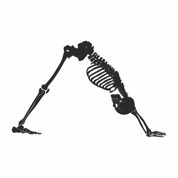 skeleton svg7.jpg