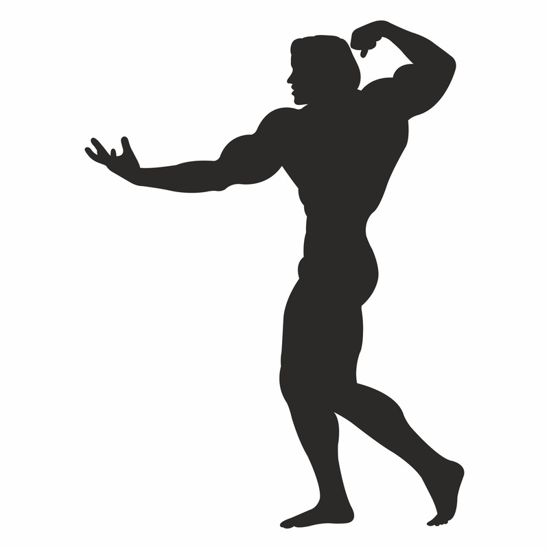 Arnold Schwarzenegger2.jpg