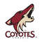 Phoenix Coyotes.jpg3.jpg