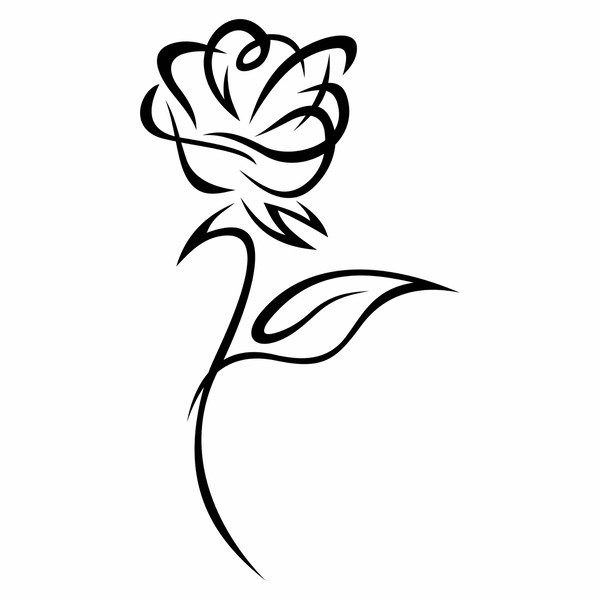rose silhouette.jpg2.jpg