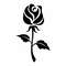 rose silhouette.jpg3.jpg