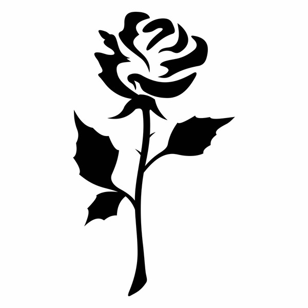 rose silhouette.jpg4.jpg