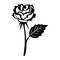 rose silhouette.jpg5.jpg