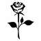 rose silhouette.jpg6.jpg