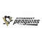 Pittsburgh Penguins.jpg5.jpg