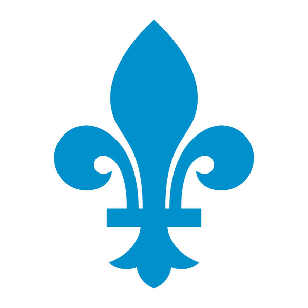 Quebec Nordiques.jpg3.jpg