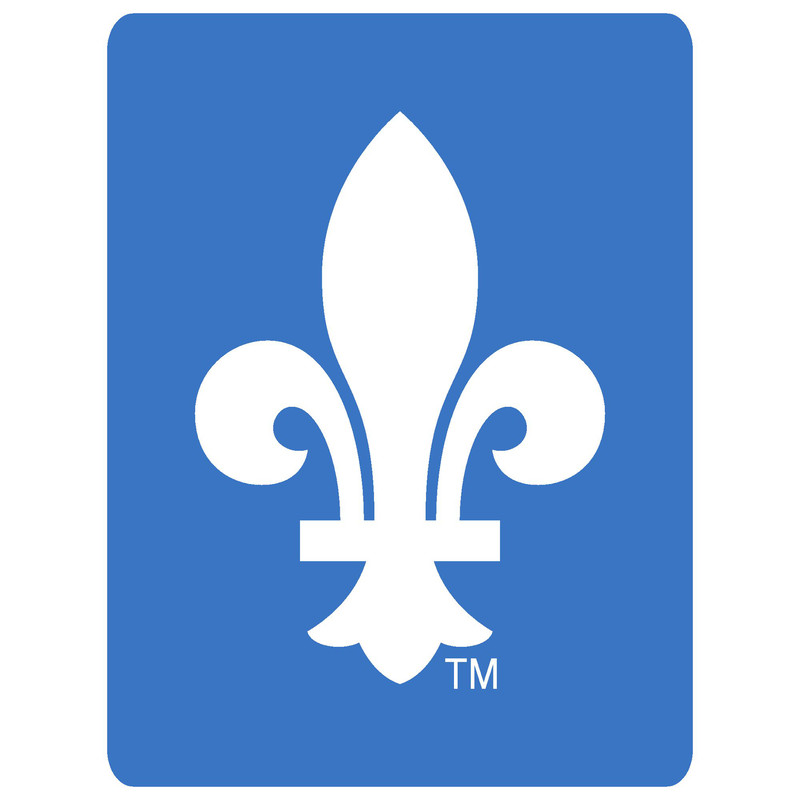 Quebec Nordiques.jpg4.jpg