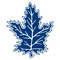 Toronto Maple Leafs.jpg7.jpg