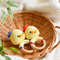 Duck Crochet Rattle Easy Pattern Crocheted Duckling Toy 6