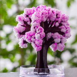 magic cherry blossom tree