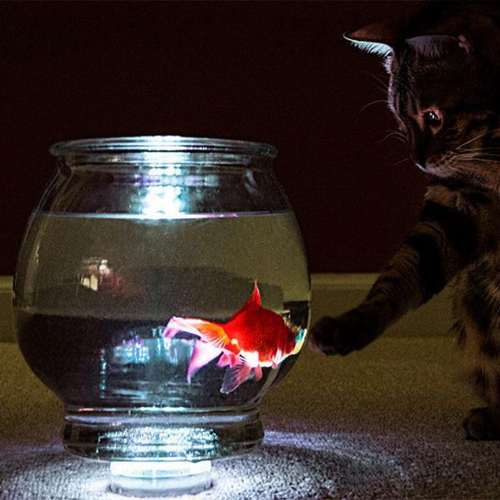 Waterproof RGB LED Accent Lights Color Changing