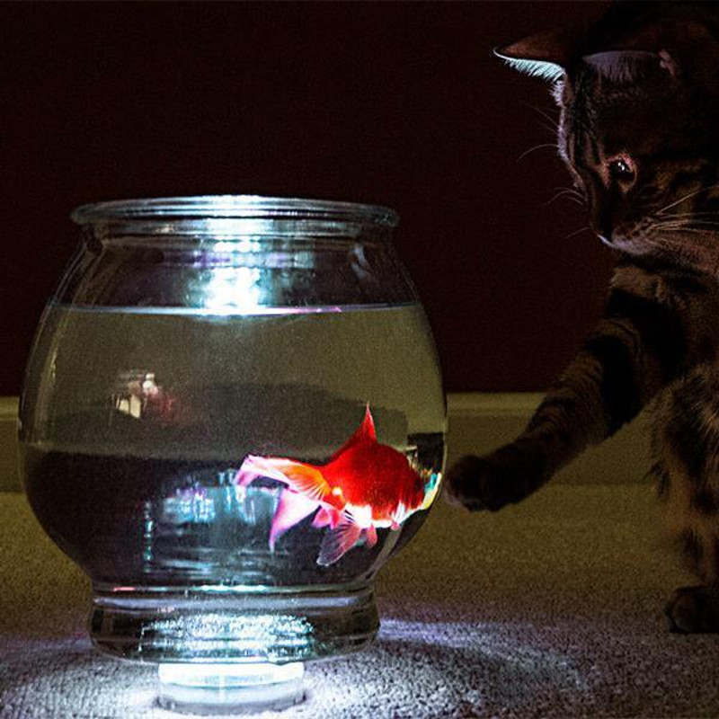 Waterproof RGB LED Accent Lights Color Changing