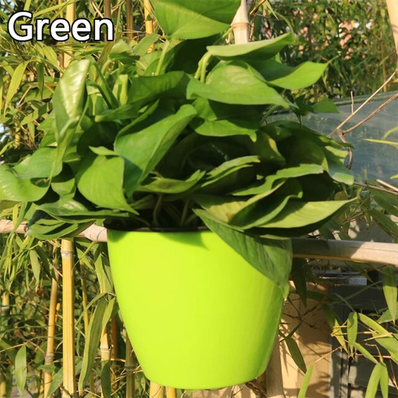 Self Watering Hanging Basket Green