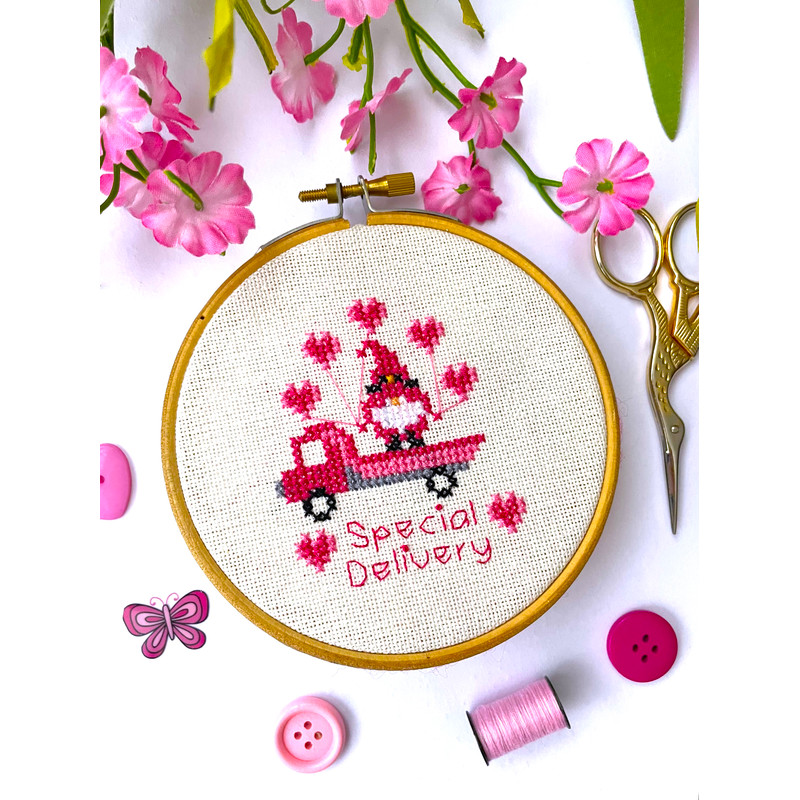 Gnome Special Delivery cover .jpg