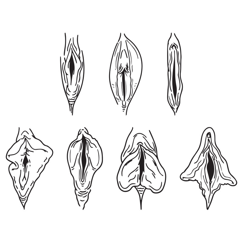 ul030124t6---line-art-vagina-bundle-svg-hand-drawn-pussy-vagina-drawing-vector-cut-file-cricut-silhouette-pdf-png-dxf-eps-stick-ul030124t6png.png