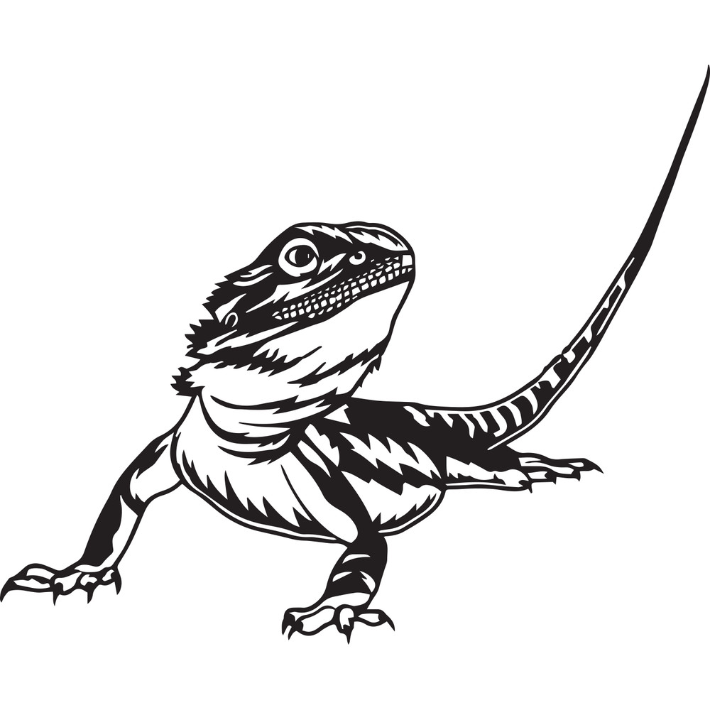 ul221223t5---bearded-dragon-svg-lizard-svg-reptile-svg-bearded-dragon-png-bearded-dragon-jpg-bearded-dragon-files-bearded-ul221223t5png.png