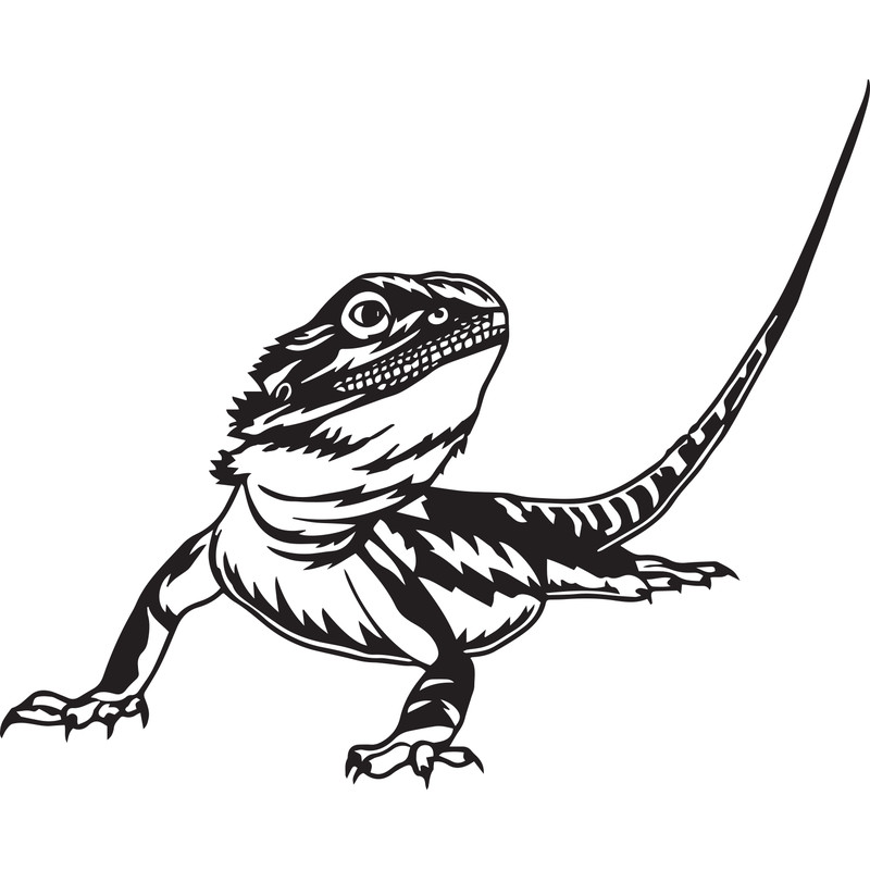 ul221223t5---bearded-dragon-svg-lizard-svg-reptile-svg-bearded-dragon-png-bearded-dragon-jpg-bearded-dragon-files-bearded-ul221223t5png.png