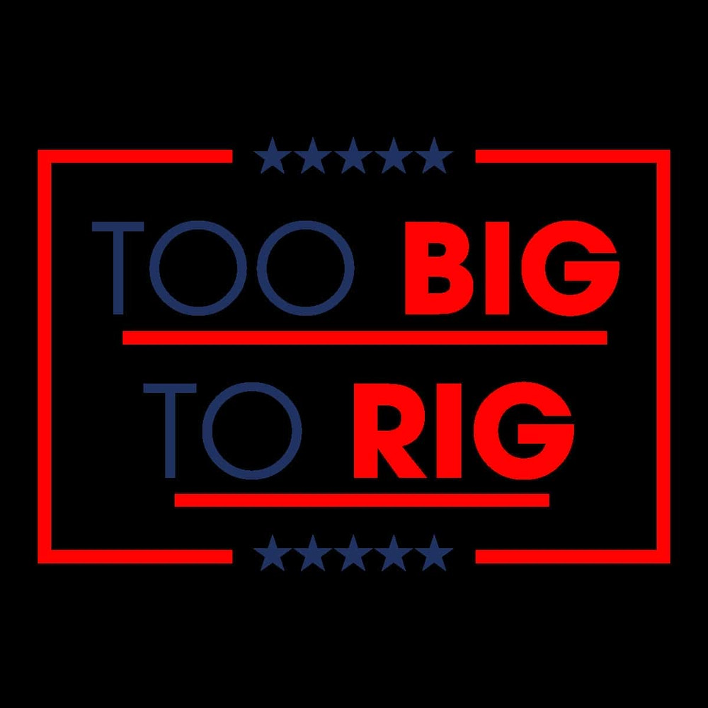 Too Big To Rig Saying Trump 2024 Funny Quote SVG.jpg