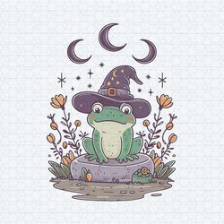mystic witchy frog and moon phase dark cottagecore aesthetic png