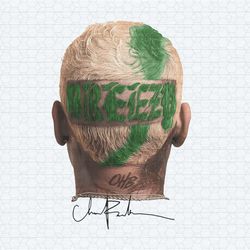 chris brown breezy 2024 concert png
