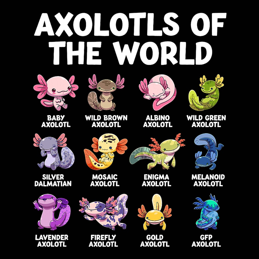 Axolotls Of The World Kawaii Types Of Axolotl Fish Amphibian 452.jpg