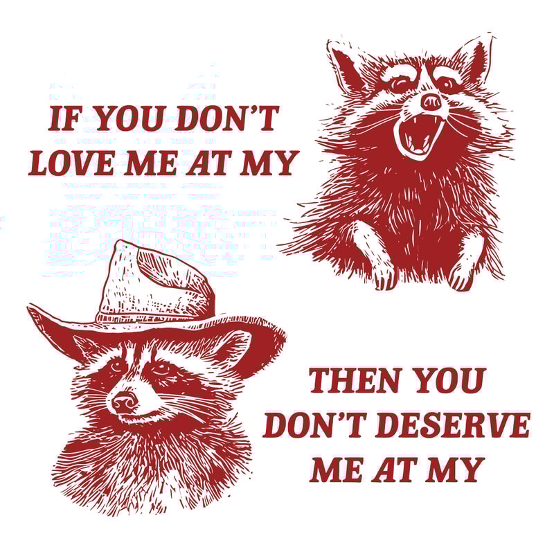 2001241013-if-you-dont-love-me-at-my-funny-raccoon-svg-2001241013png.png