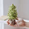 Mini Christmas Tree Crochet Pattern 0